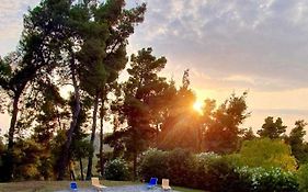 Nikol Villa Elani